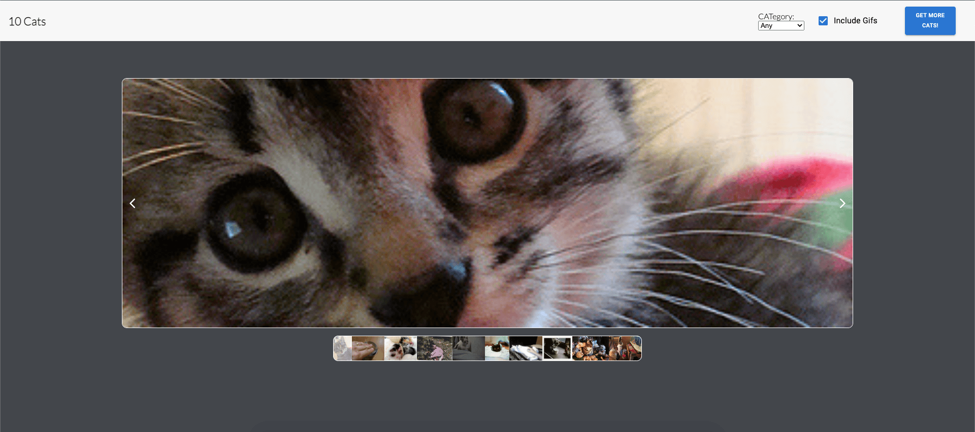 Image for 10 Cats